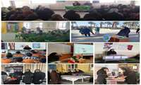 نقش موثر تغذیه بر سلامتی گروه های سنی و پیشگیری از بیماری های غیرواگیر محور برنامه های آموزشی کارشناسان تغذیه معاونت بهداشت فسا 
