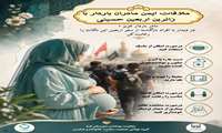  ملاقات ایمن مادران باردار با زائرین اربعین حسینی