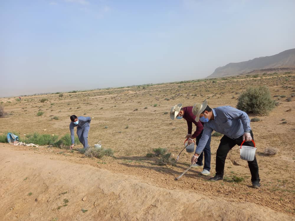 جونده کشی در منطقه شیبکوه 